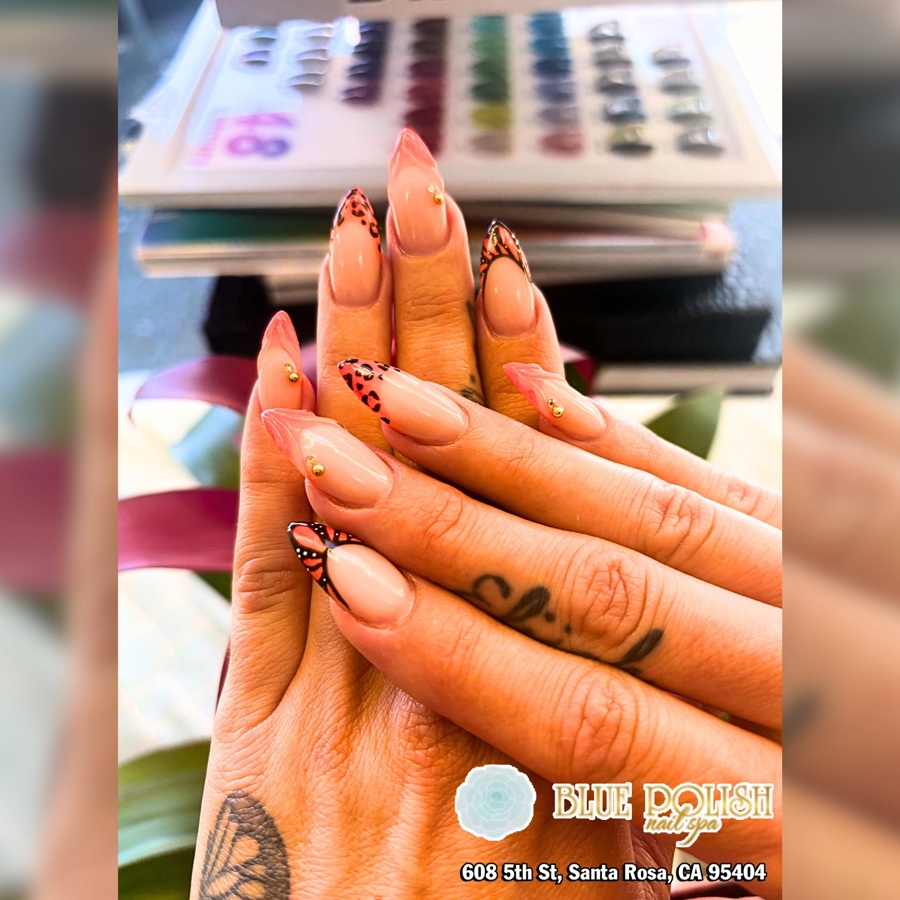 Blue Polish Nail Spa Santa Rosa
